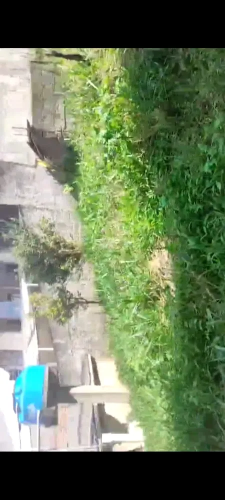 Terreno, 125 m² - Foto 4