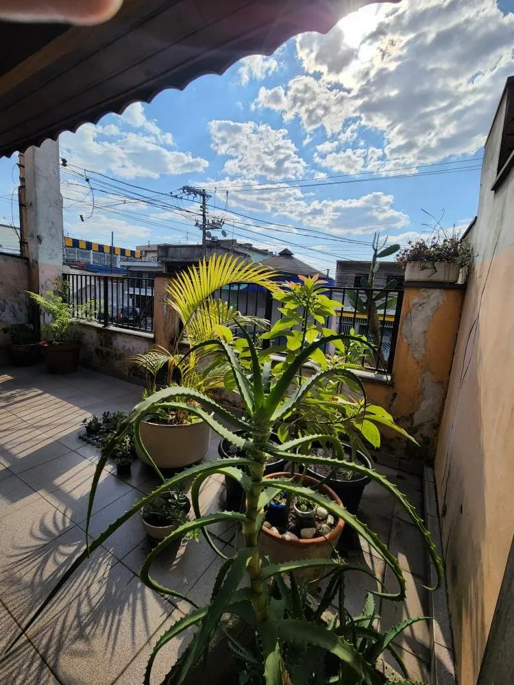 Casa, 3 quartos, 270 m² - Foto 7