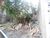 Terreno, 308 m² - Foto 2