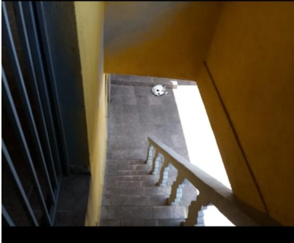 Casa, 3 quartos, 250 m² - Foto 2