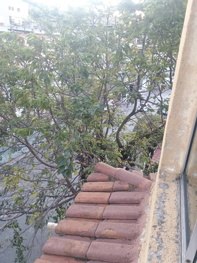 Casa, 6 quartos - Foto 1