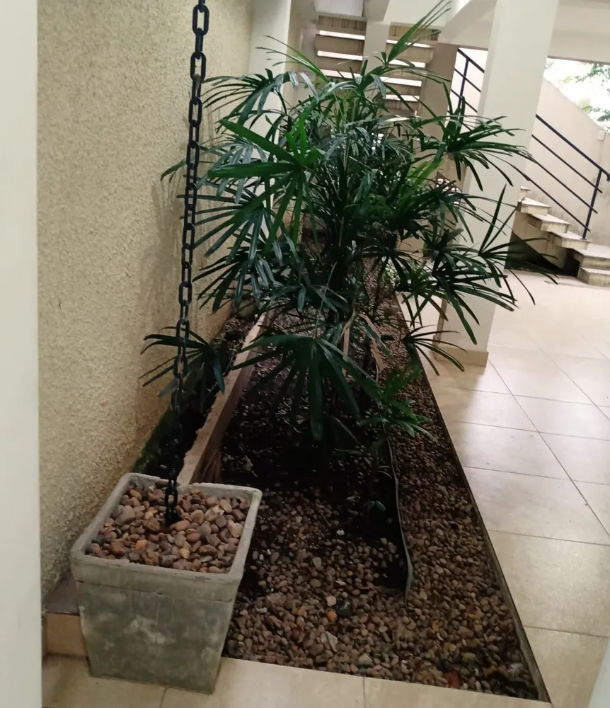 Casa, 2 quartos, 62 m² - Foto 5