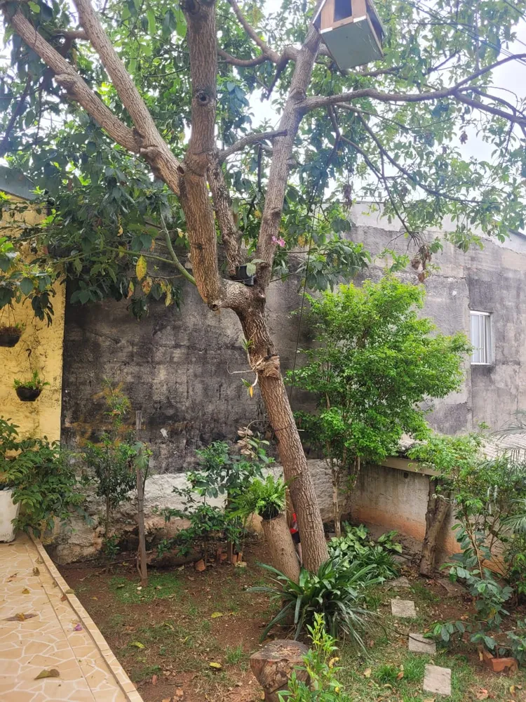 Casa, 3 quartos - Foto 8
