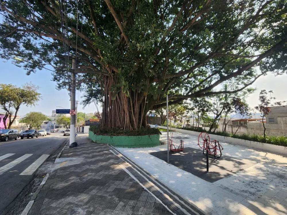 Imóvel Comercial, 258 m² - Foto 8