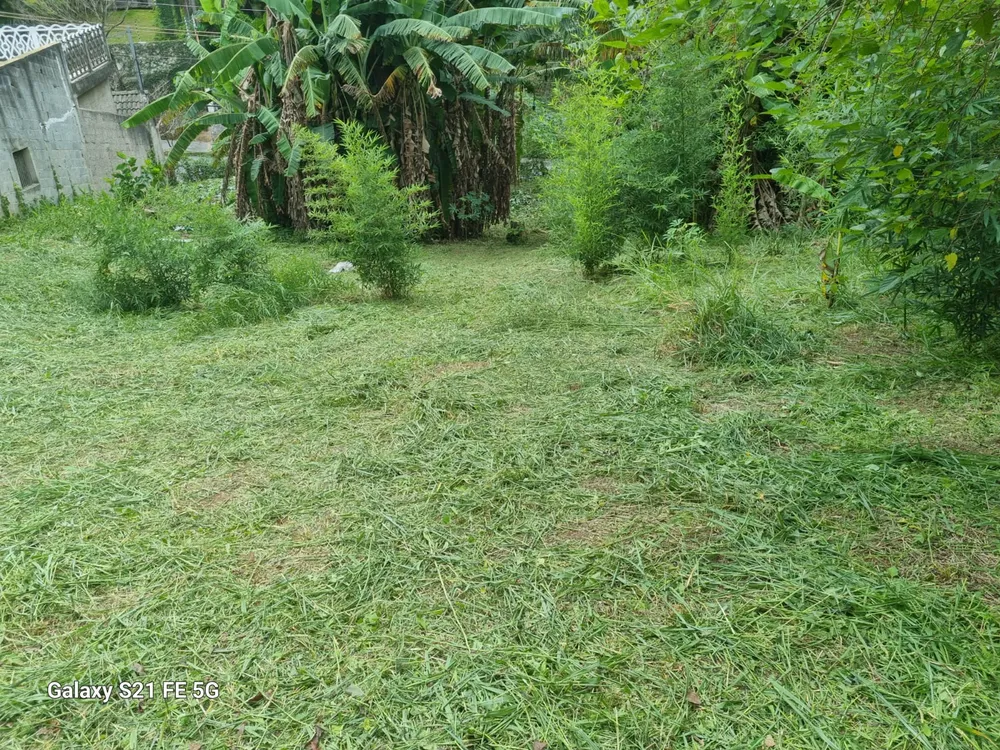 Terreno - Foto 2