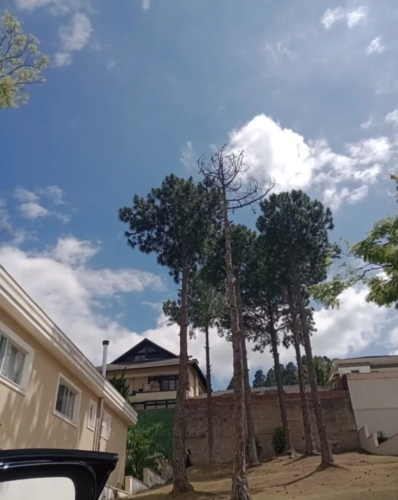 Terreno, 363 m² - Foto 8
