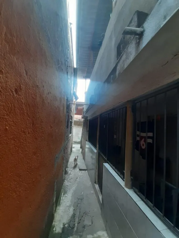 Casa, 8 quartos, 250 m² - Foto 6