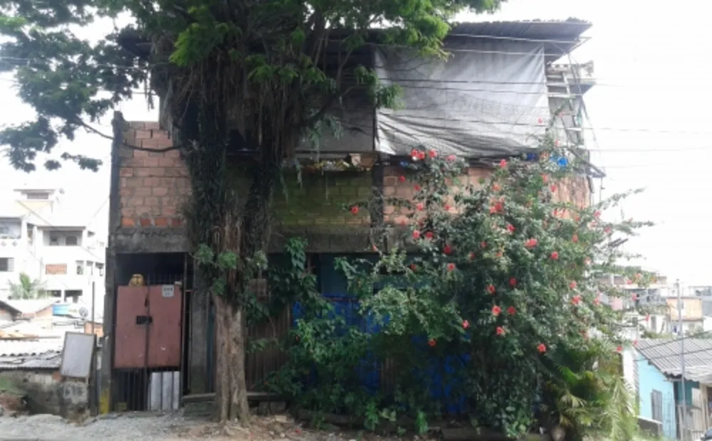 Casa, 3 quartos, 250 m² - Foto 1
