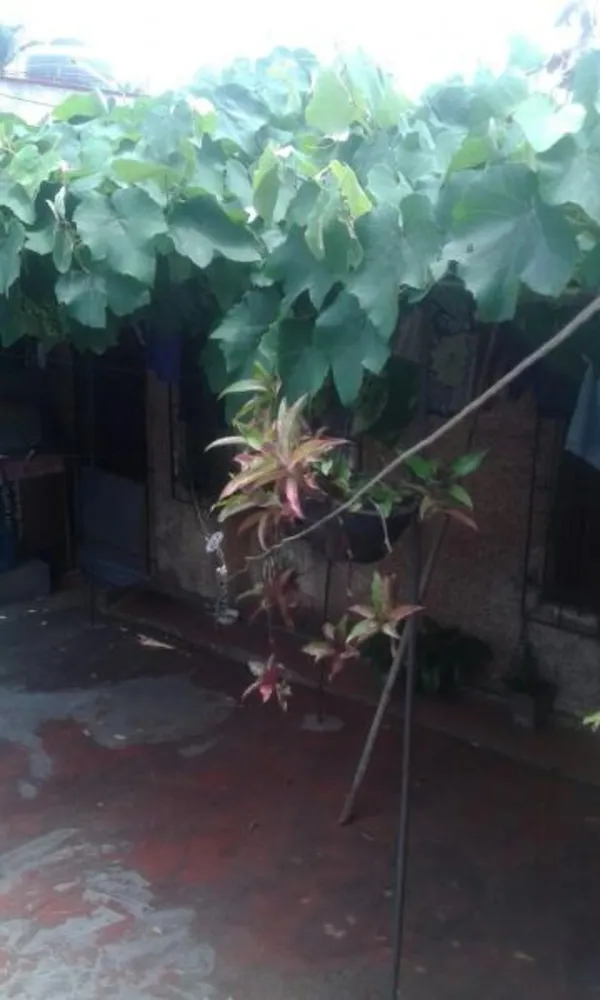 Terreno, 250 m² - Foto 4