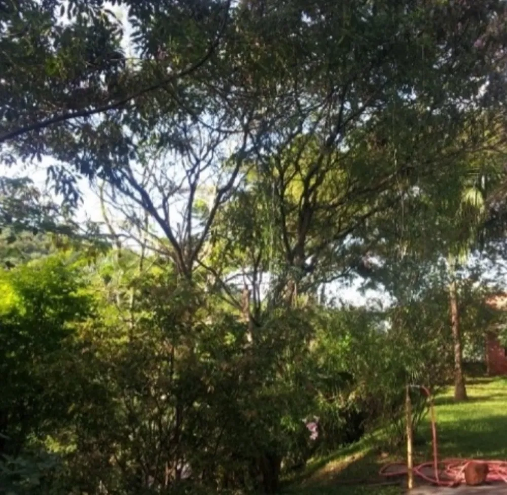 Casa, 2 quartos, 925 m² - Foto 3
