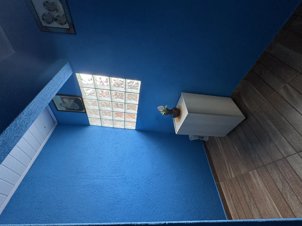 Casa, 5 quartos, 250 m² - Foto 6