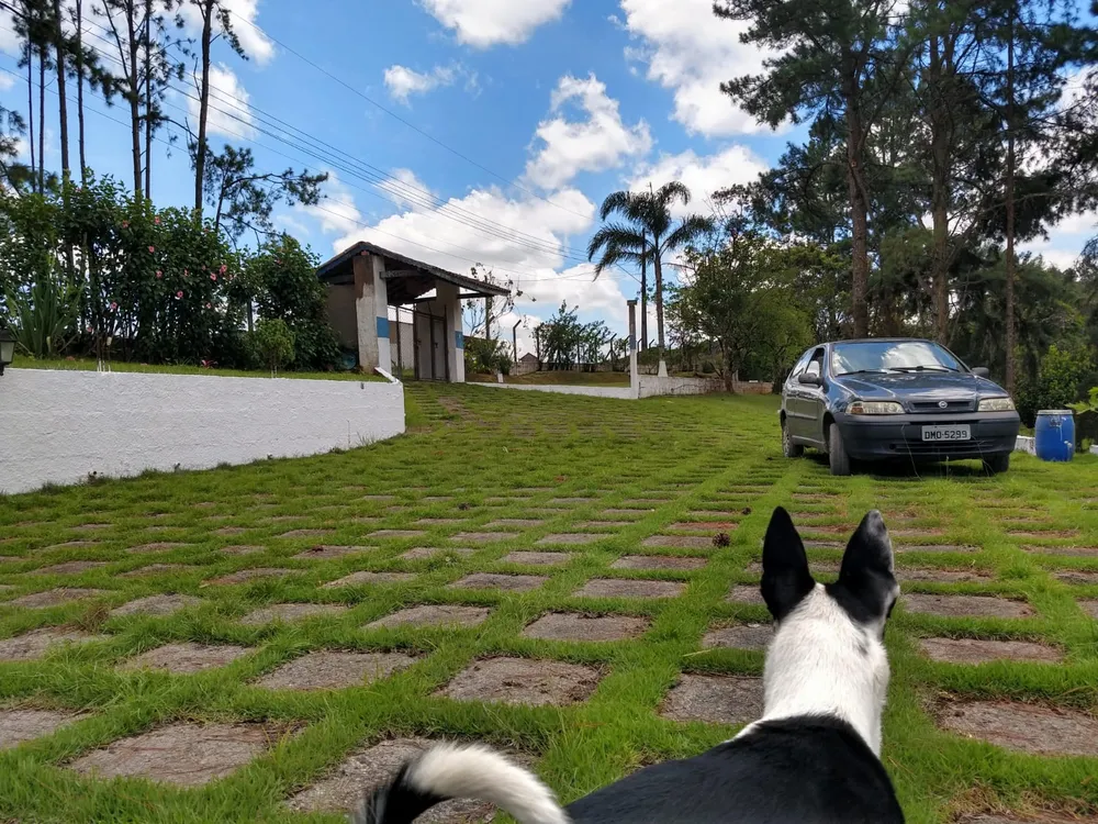 Fazenda, 6360 m² - Foto 3