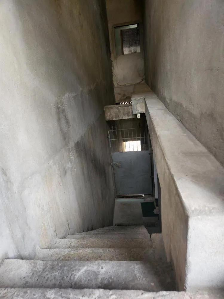 Casa, 6 quartos, 239 m² - Foto 8