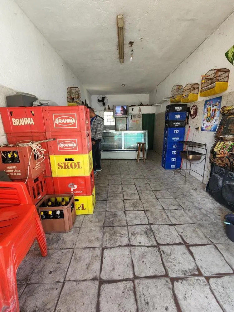 Casa, 3 quartos, 246 m² - Foto 4