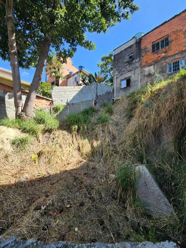 Casa, 3 quartos, 246 m² - Foto 7