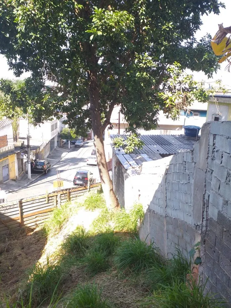 Casa, 3 quartos, 246 m² - Foto 6