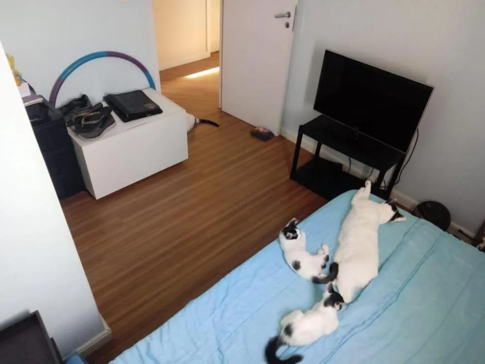 Apartamento, 3 quartos, 74 m² - Foto 7