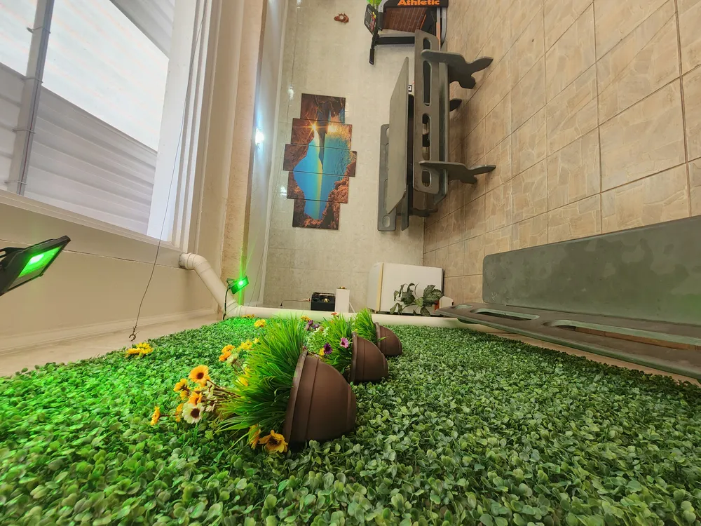 Casa, 2 quartos, 250 m² - Foto 4