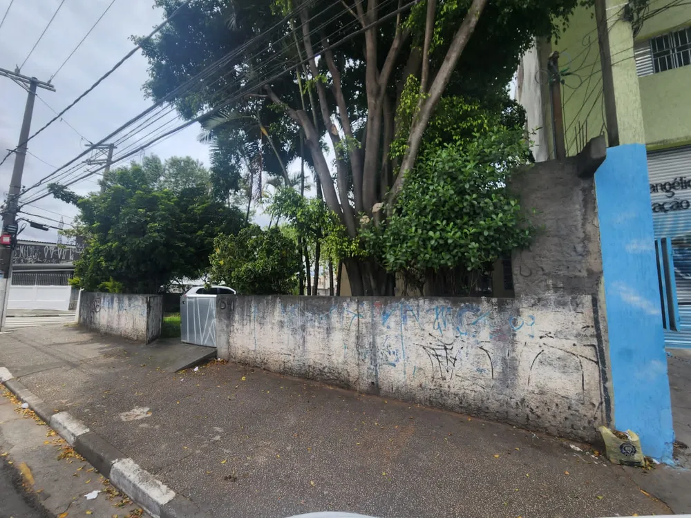 Casa, 5 quartos, 537 m² - Foto 3