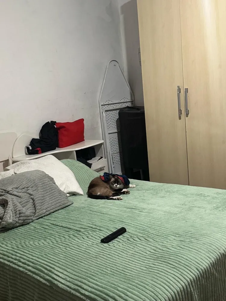 Terreno - Foto 11