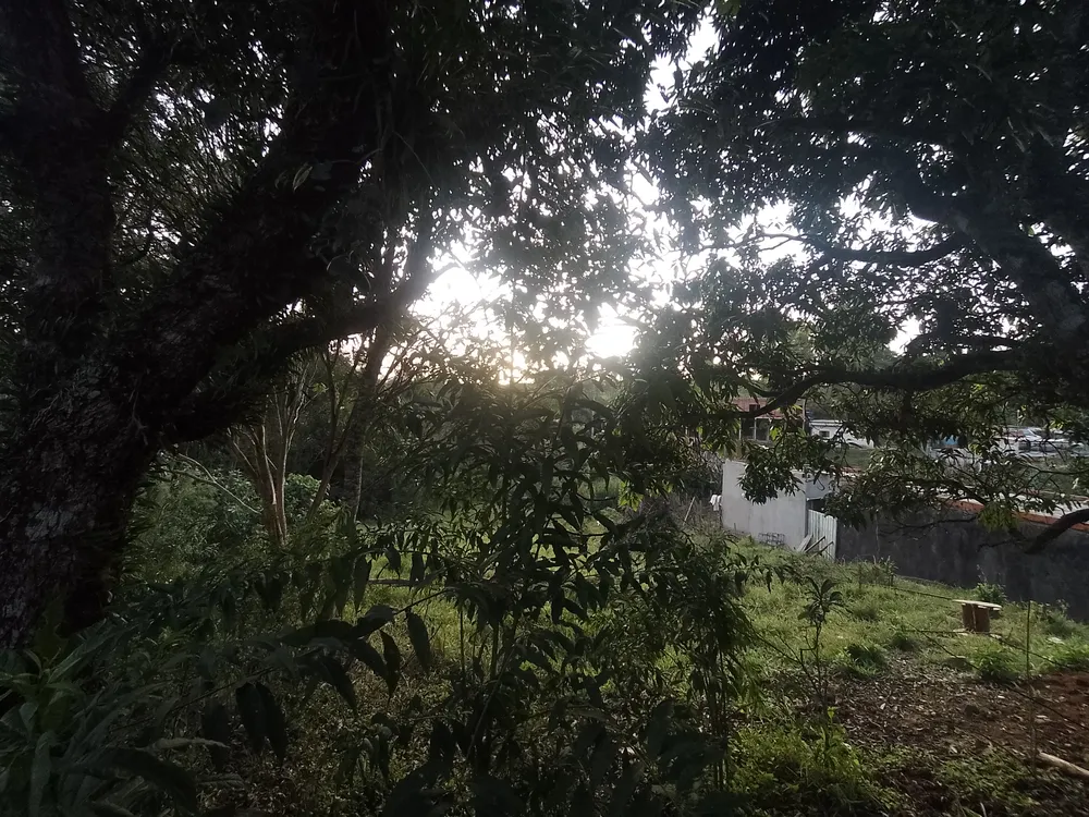 Fazenda, 1600 m² - Foto 8