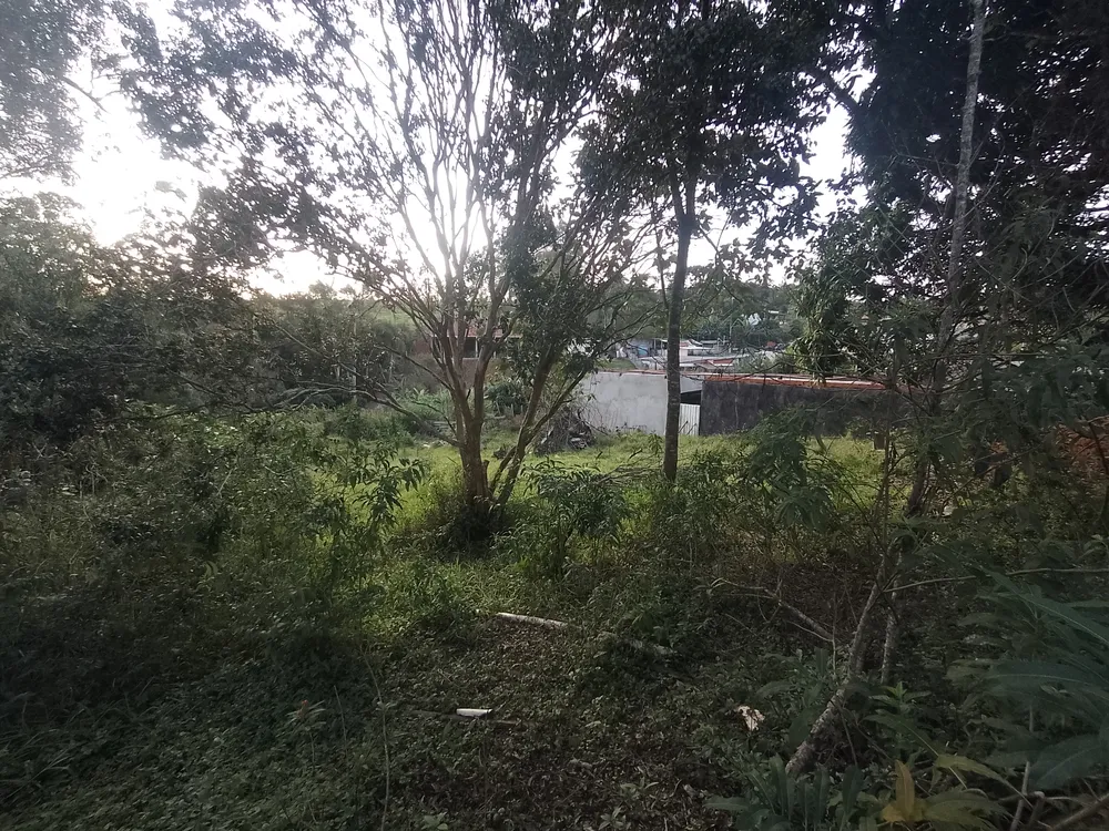 Fazenda, 1600 m² - Foto 7