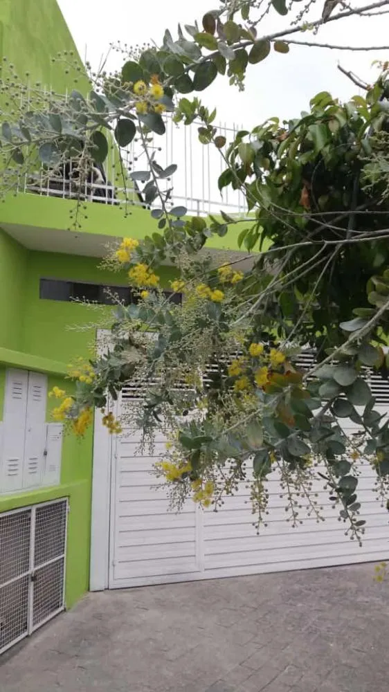 Casa, 2 quartos, 225 m² - Foto 3