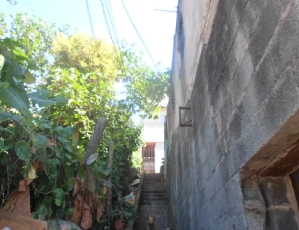 Casa, 7 quartos, 480 m² - Foto 4