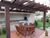 Apartamento, 3 quartos, 81 m² - Foto 11