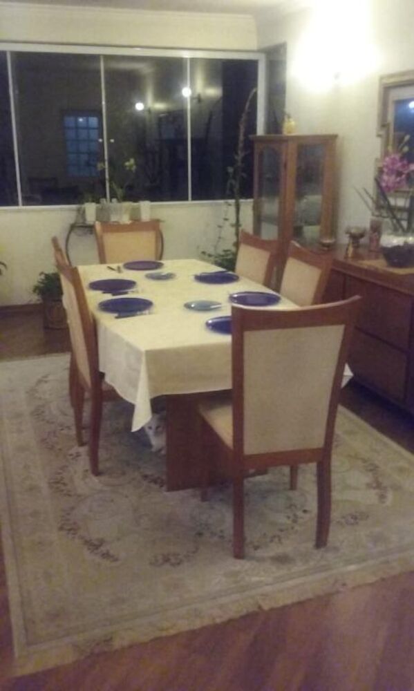 Casa à venda com 3 quartos, 250m² - Foto 4