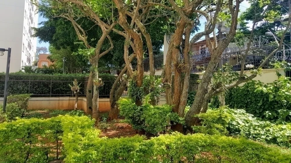 Apartamento, 3 quartos, 67 m² - Foto 8