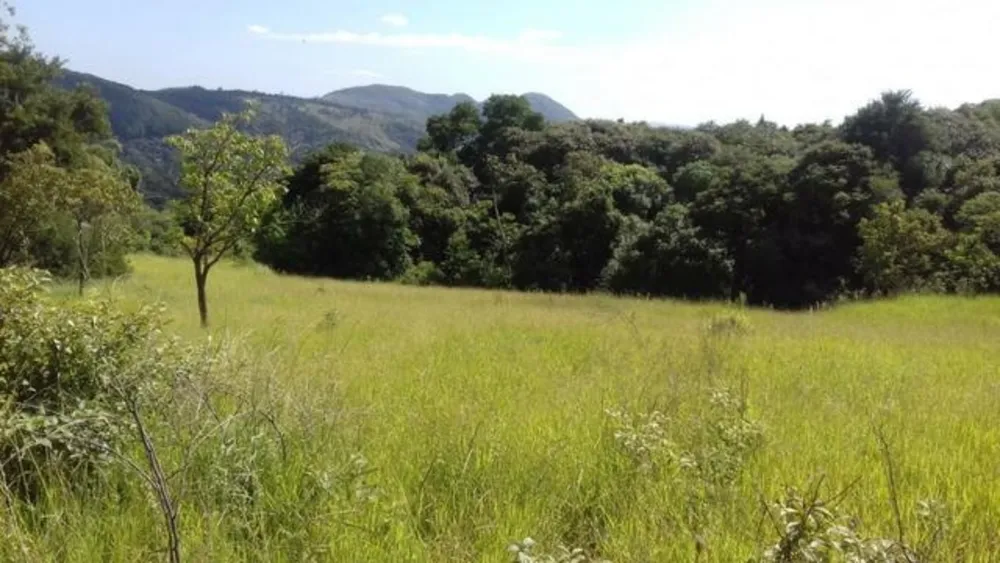 Terreno, 2 hectares - Foto 4
