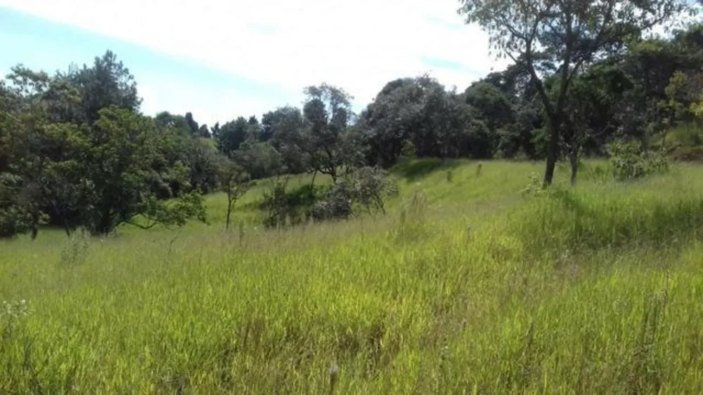 Terreno, 2 hectares - Foto 5