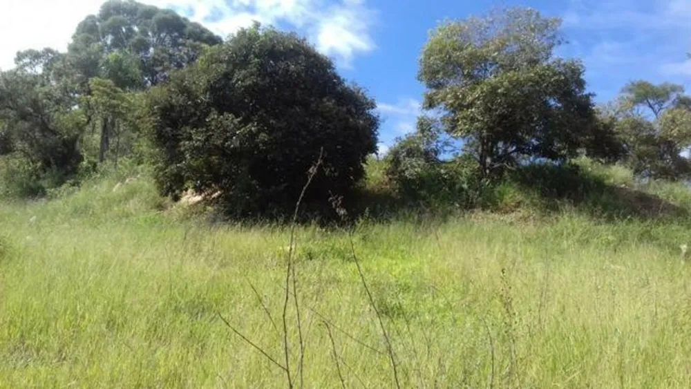 Terreno, 2 hectares - Foto 7