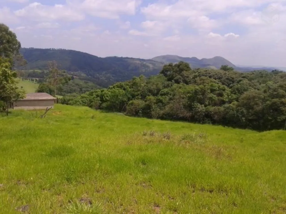 Terreno, 2 hectares - Foto 3