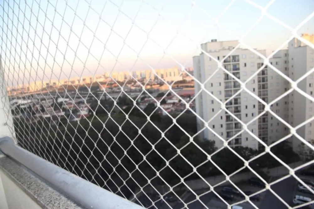 Apartamento, 3 quartos, 74 m² - Foto 2