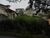 Terreno, 420 m² - Foto 3