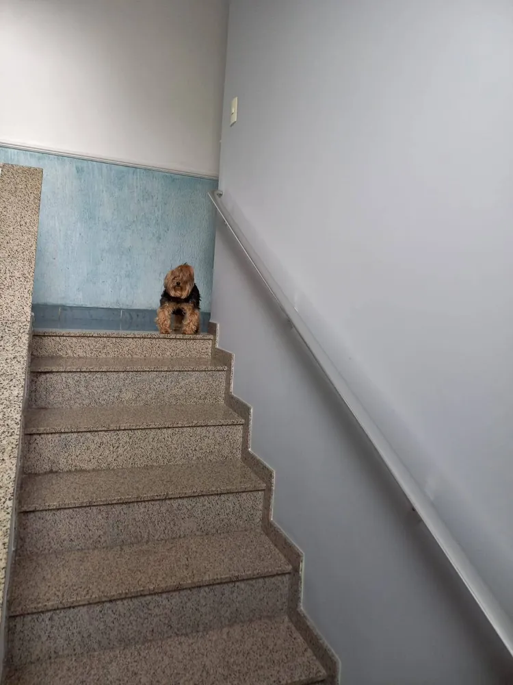 Sobrado, 3 quartos, 432 m² - Foto 6