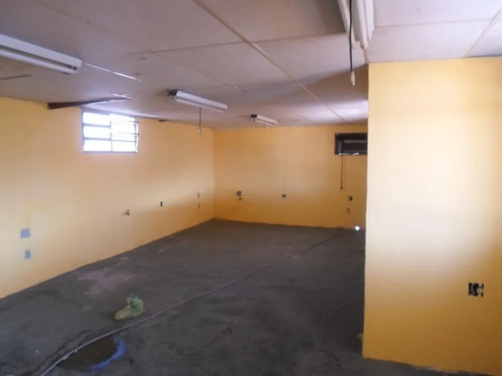 Casa, 5 quartos, 230 m² - Foto 5