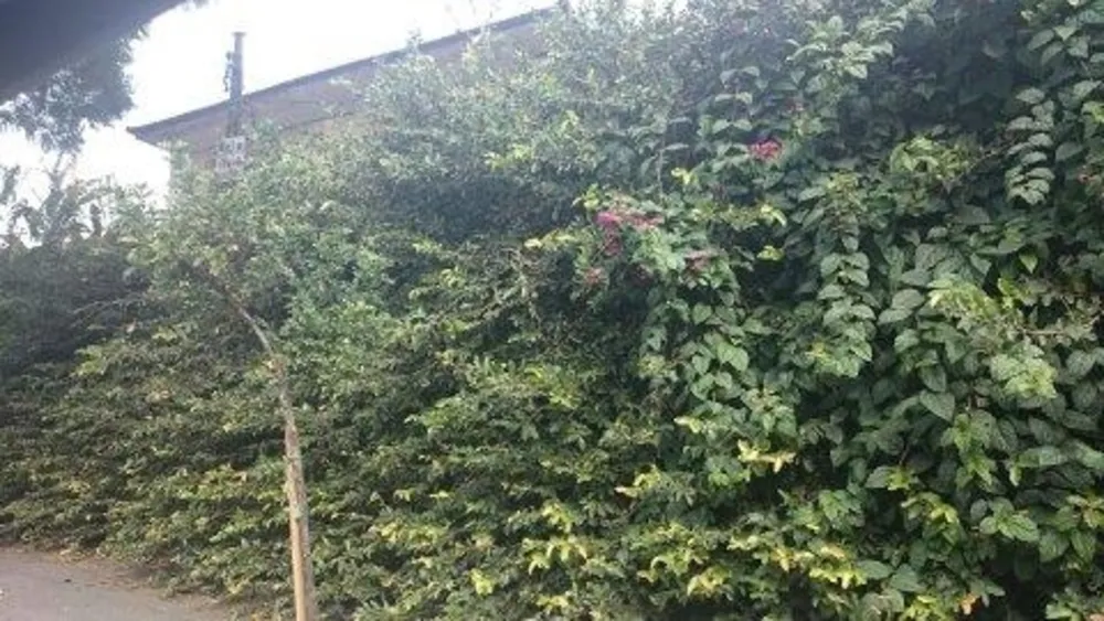 Casa, 3 quartos, 210 m² - Foto 2