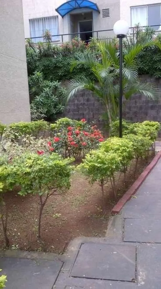 Apartamento, 3 quartos, 60 m² - Foto 9