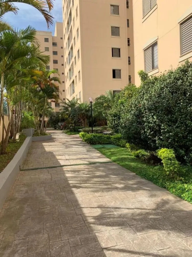 Apartamento, 3 quartos, 65 m² - Foto 2