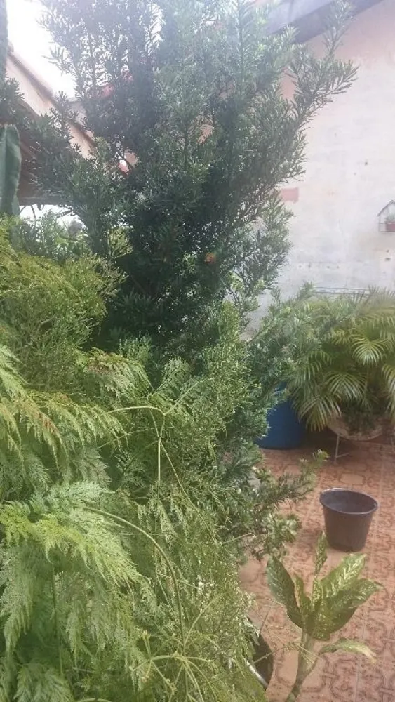 Casa, 5 quartos, 265 m² - Foto 9