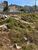 Terreno, 191 m² - Foto 6