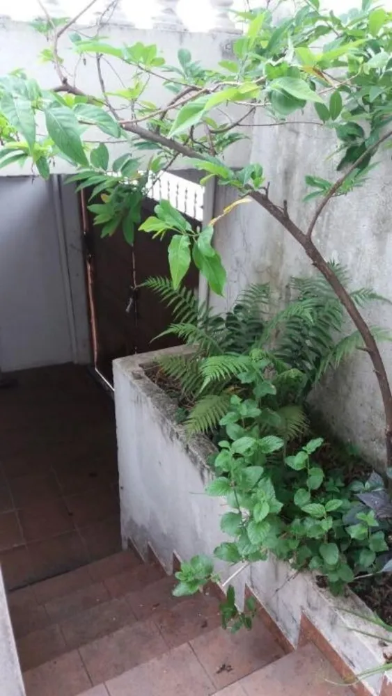 Casa, 2 quartos, 270 m² - Foto 2