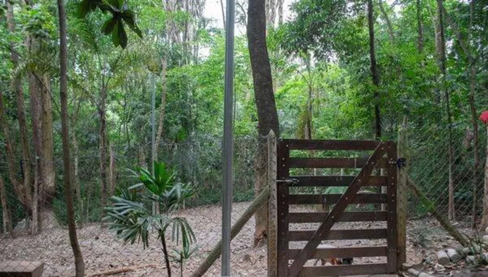 Apartamento, 2 quartos, 43 m² - Foto 5