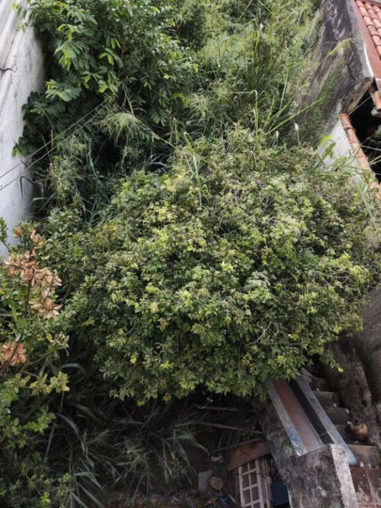 Casa, 3 quartos, 300 m² - Foto 5