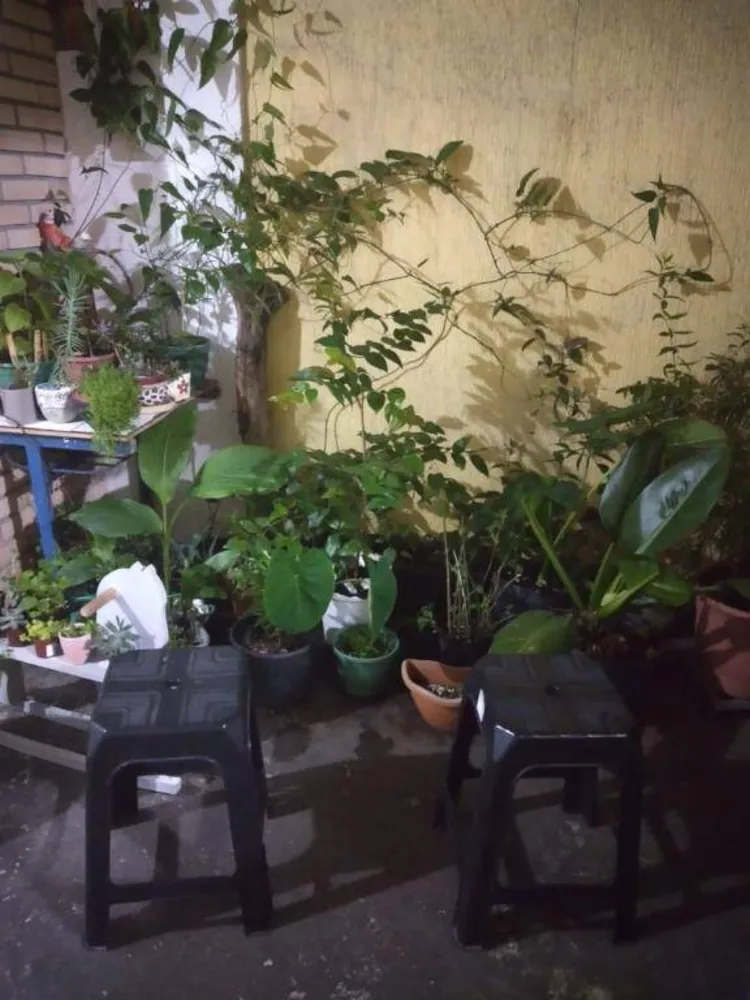 Sobrado, 3 quartos, 125 m² - Foto 3