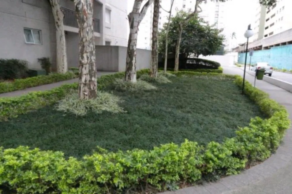 Apartamento, 2 quartos, 50 m² - Foto 9