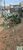 Terreno, 135 m² - Foto 3